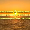 Фамилия Кулавский: возникновение, генеалогия и рекомендации по склонению