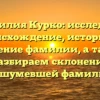Фамилия Курко: исследуем происхождение, историю и значение фамилии, а также разбираем склонение нашумевшей фамилии