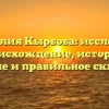 Фамилия Кырбоба: исследуем происхождение, историю, значение и правильное склонение