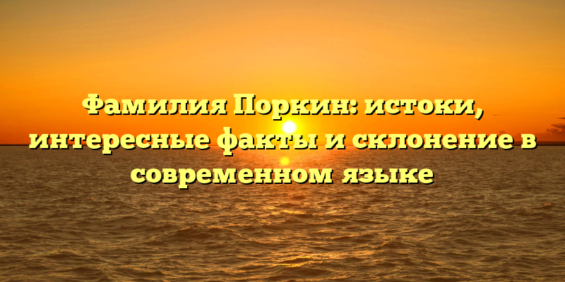 Фамилия Поркин: истоки, интересные факты и склонение в современном языке