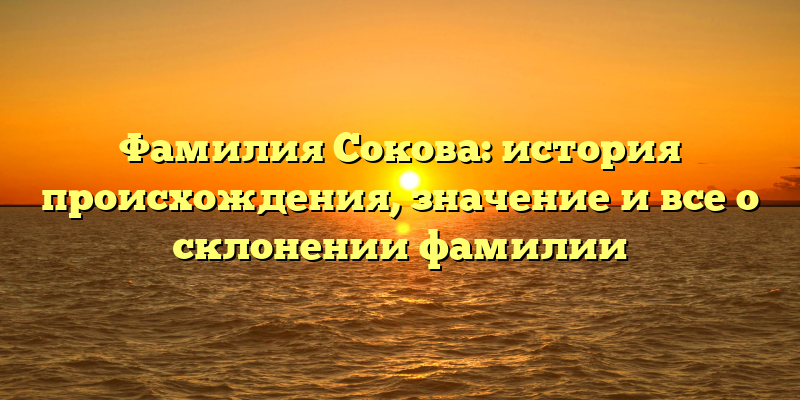 Фамилия Сокова: история происхождения, значение и все о склонении фамилии