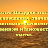Фамилия Цатурян: история происхождения, значения и правильное склонение в единственном и множественном числе.