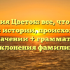 Фамилия Цветок: все, что нужно знать об истории, происхождении и значении + грамматика склонения фамилии