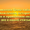 Фамилия Цинь: тайны происхождения, историческое значение и правильное склонение — все в одной статье!