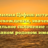 Фамилия Цофин: история происхождения, значение и правильное склонение — все о главном родовом имени