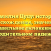 Фамилия Цуцу: история происхождения, значение и правильное склонение в родительном падеже