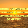 Фамилия Цуцуй: история, происхождение и значение — все, что нужно знать о склонении этой фамилии