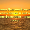 Фамилия Цыганий: история, происхождение и значение, склонение фамилии — подробный обзор