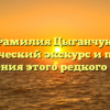 Фамилия Цыганчук: исторический экскурс и правила склонения этого редкого имени