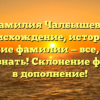 Фамилия Чалбышева: происхождение, история и значение фамилии — все, что вы хотели знать! Склонение фамилии в дополнение!