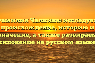 Фамилия Чалкина: исследуем происхождение, историю и значение, а также разбираем склонение на русском языке