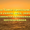 Фамилия Чамо: происхождение и история сквозь века, значение и особенности склонения для исследования