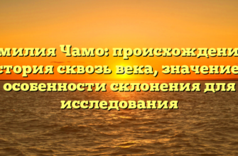 Фамилия Чамо: происхождение и история сквозь века, значение и особенности склонения для исследования