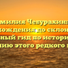 Фамилия Чебурахин: от происхождения до склонения — полный гид по истории и значению этого редкого имени