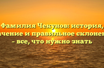 Фамилия Чекунов: история, значение и правильное склонение – все, что нужно знать Фамилия Чекунов: история, значение и правильное склонение – все, что нужно знать