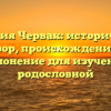 Фамилия Червак: исторический обзор, происхождение и склонение для изучения родословной