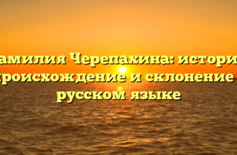 Фамилия Черепахина: история, происхождение и склонение в русском языке Фамилия Черепахина: история, происхождение и склонение в русском языке
