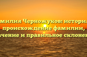 Фамилия Черножуков: история и происхождение фамилии, значение и правильное склонение Фамилия Черножуков: история и происхождение фамилии, значение и правильное склонение