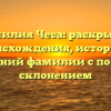 Фамилия Чеса: раскрытие происхождения, истории и значений фамилии с полным склонением