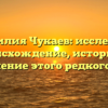 Фамилия Чукаев: исследуем происхождение, историю и склонение этого редкого рода