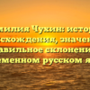 Фамилия Чухин: история происхождения, значение и правильное склонение в современном русском языке