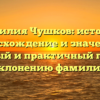 Фамилия Чушков: история, происхождение и значение — полный и практичный гид по склонению фамилии