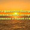 Все о фамилии Бистров: происхождение, история и склонение в одной статье