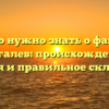 Все, что нужно знать о фамилии Дергалев: происхождение, история и правильное склонение.