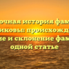 Загадочная история фамилии Банниковы: происхождение, значение и склонение фамилии в одной статье