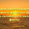 Изучаем происхождение и значимость фамилии Цабель: история, склонение и интересные факты