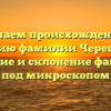 Изучаем происхождение и историю фамилии Череватый: значение и склонение фамилии под микроскопом
