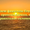 Изучаем фамилию Елубаев: история происхождения, значение и правильное склонение