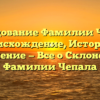 Исследование Фамилии Чепала: Происхождение, История и Значение — Все о Склонении Фамилии Чепала