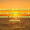 Исследование фамилии Гогохия: происхождение, история и склонение этого уникального имени