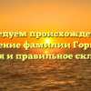 Исследуем происхождение и значение фамилии Горбина: история и правильное склонение