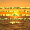 Исследуем происхождение и историю фамилии Курочка: значение и правильное склонение для вашего генеалогического древа.