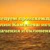 Исследуем происхождение фамилии Каменева: история, значения и склонения