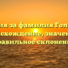 История за фамилия Голятина: происхождение, значение и правильное склонение