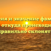 История и значение фамилии Гранда: откуда происходит и как правильно склонять