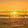 Кагна: происхождение, история и значение фамилии. Как правильно склонять Кагну?