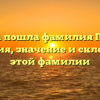 Откуда пошла фамилия Гавила? История, значение и склонение этой фамилии
