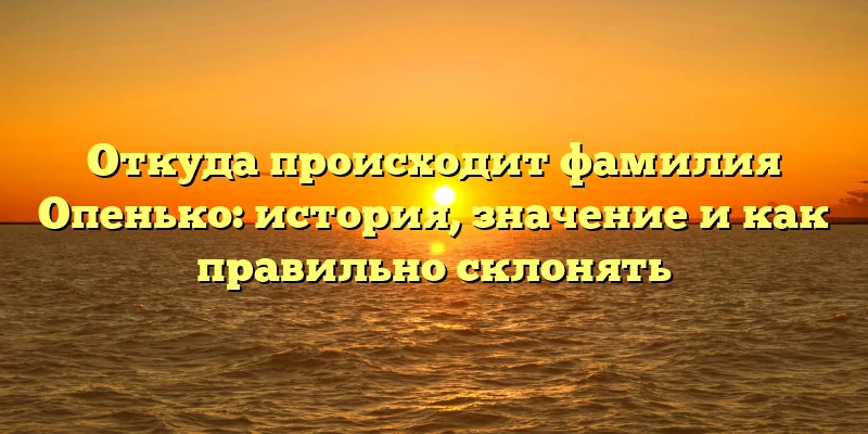 Откуда происходит фамилия Опенько: история, значение и как правильно склонять Откуда происходит фамилия Опенько: история, значение и как правильно склонять