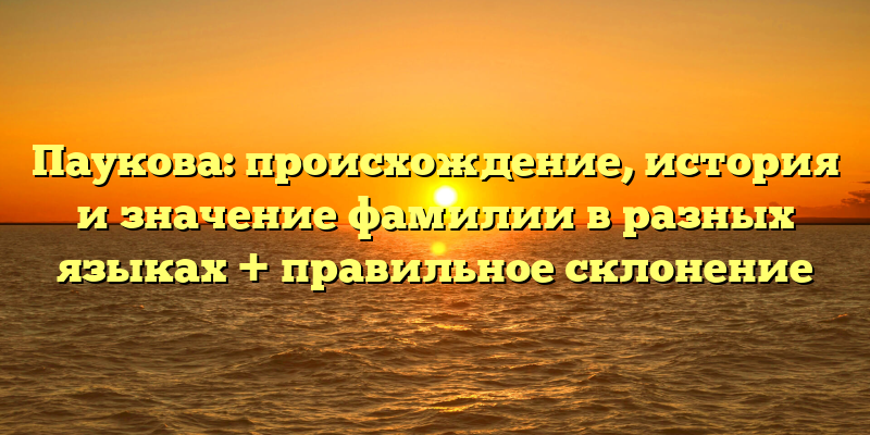 Паукова: происхождение, история и значение фамилии в разных языках + правильное склонение