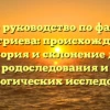 Полное руководство по фамилии Дмитриева: происхождение, история и склонение для родоследования и генеалогических исследований