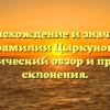 Происхождение и значение фамилии Цыркунов: исторический обзор и правила склонения.