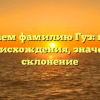 Разбираем фамилию Гуз: история ее происхождения, значение и склонение