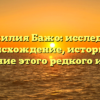 Фамилия Бажо: исследуем происхождение, историю и значение этого редкого имени.