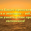Фамилия Бакач: происхождение, история и значение — всё, что вы хотели узнать, плюс правила склонения!