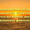 Фамилия Белка: история, происхождение и значимость — всё что вы хотели знать + склонение фамилии