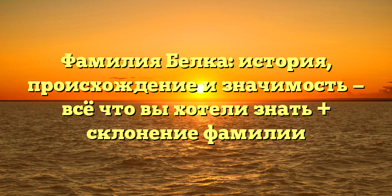 Фамилия Белка: история, происхождение и значимость — всё что вы хотели знать + склонение фамилии